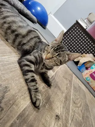 Sugar