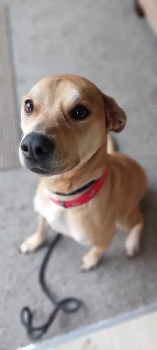 Roxy