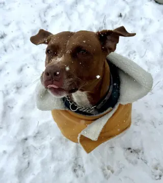 Missy