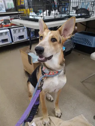 Ellie aka Eddy