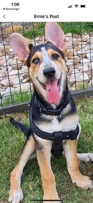 Ellie aka Eddy