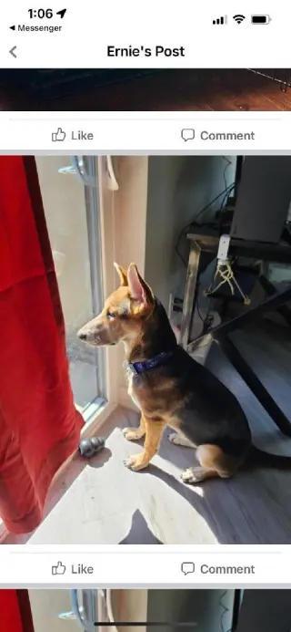 Ellie aka Eddy