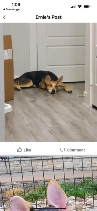 Ellie aka Eddy