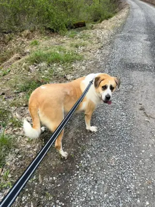 Vera