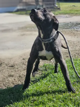 Cash