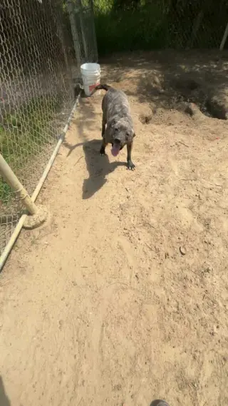Cash