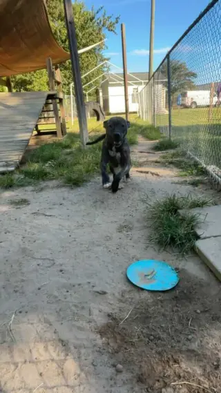 Cash