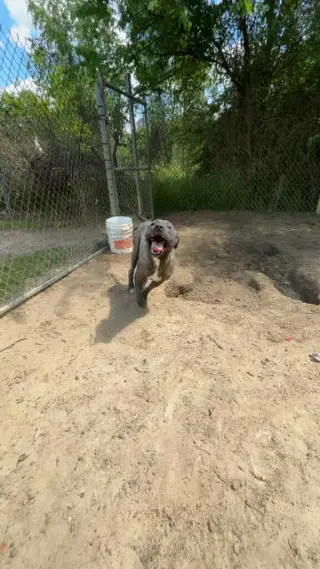Cash