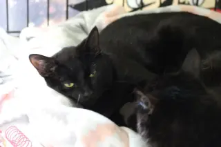 Sleepy