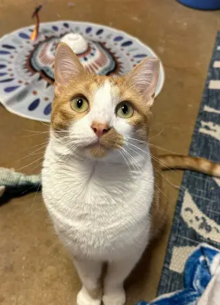 Jake