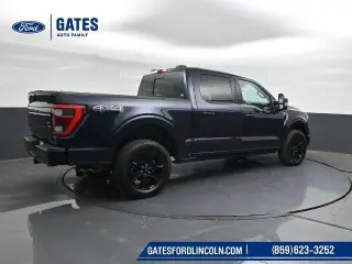 Ford F-150 2022 4x4 Platinum 4dr SuperCrew 6.5 ft. SB