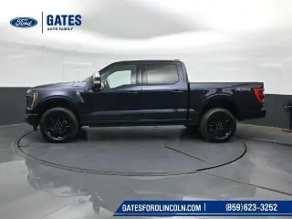 Ford F-150 2022 4x4 Platinum 4dr SuperCrew 6.5 ft. SB