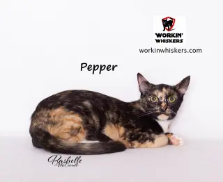 PEPPER