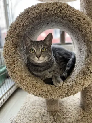 Luca