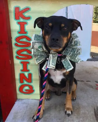 Roscoe