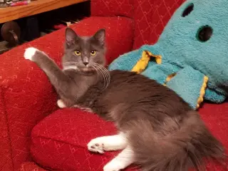 Sebastian