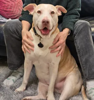 Gracie