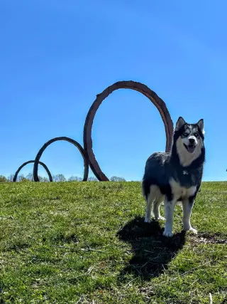 Kino