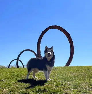 Kino