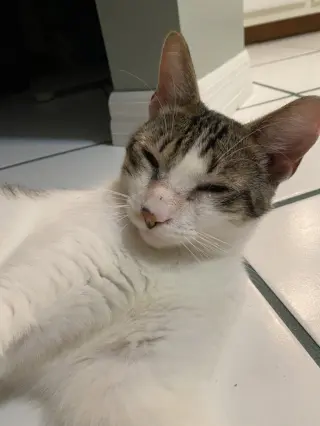 Diaz