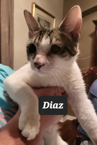 Diaz