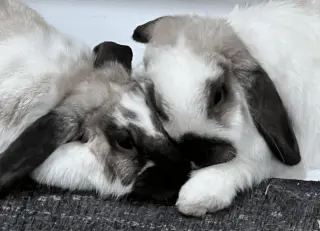 Roxanne and Theo