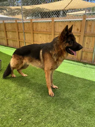 Ragnar