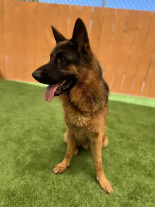 Ragnar