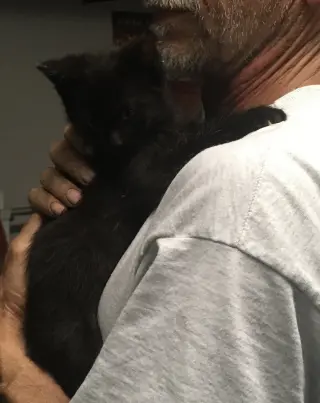 Bonnie bonded Julio