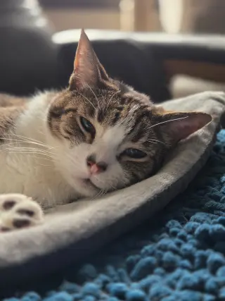 Deuce