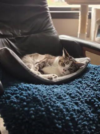 Deuce