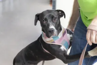 Fiona