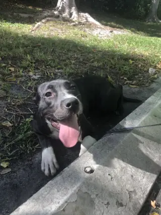 Fiona
