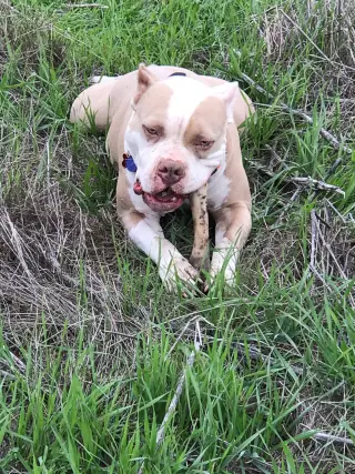 Zeus  **Courtesy Listing**