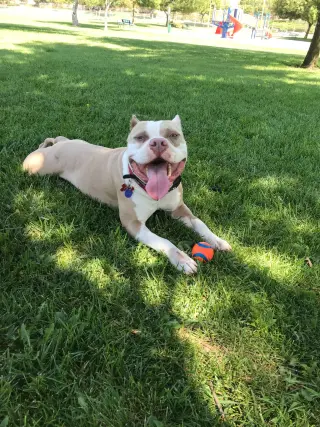 Zeus  **Courtesy Listing**