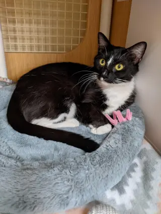 Luna