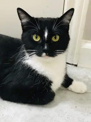 Luna