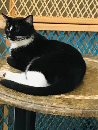 Luna
