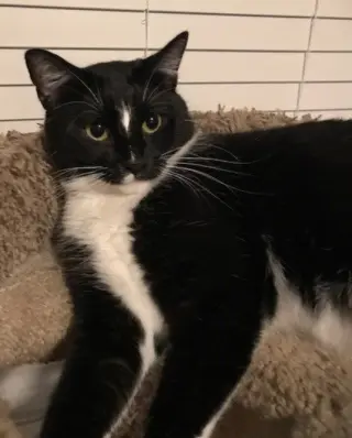 Luna