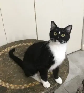 Luna