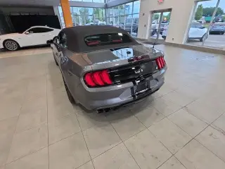 Ford Mustang 2021 GT Premium 2dr Convertible
