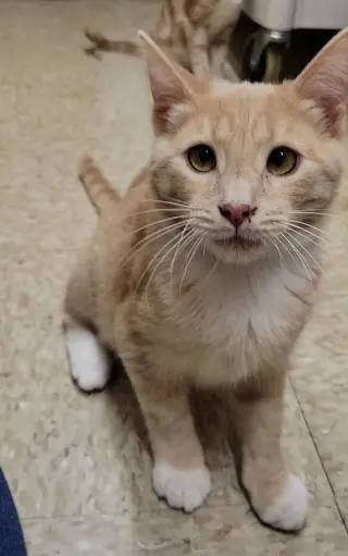 FRED WEASLEY