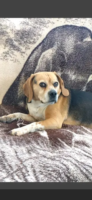 Louie-He's got a sponsor!