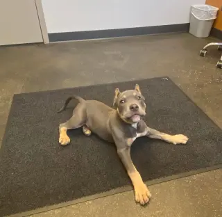 Rudy