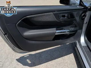 Ford Mustang 2025 EcoBoost 2dr Fastback