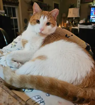 Ernie
