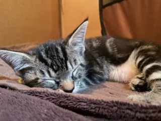 Luna