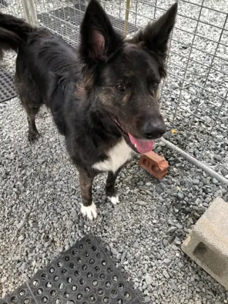 Walter
