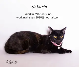VICTORIA