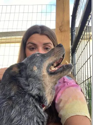 Hale (Old Man): Sponsored: Not at shelter (Stacey)